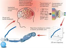neuroengineering